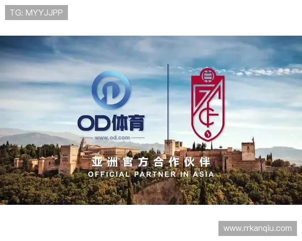 OD体育注册账号需要准备哪些资料及注意事项详解