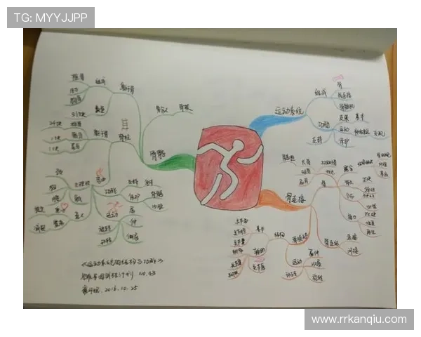 多米体育app官网用户评价与使用体验分享，了解真实用户的使用感受与建议